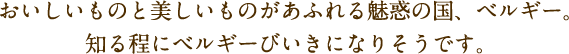 おいしいものと美しいものがあふれる魅惑の国、ベルギー。知る程にベルギーびいきになりそうです。